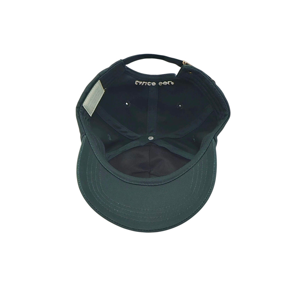 Chasing Birdies Cap