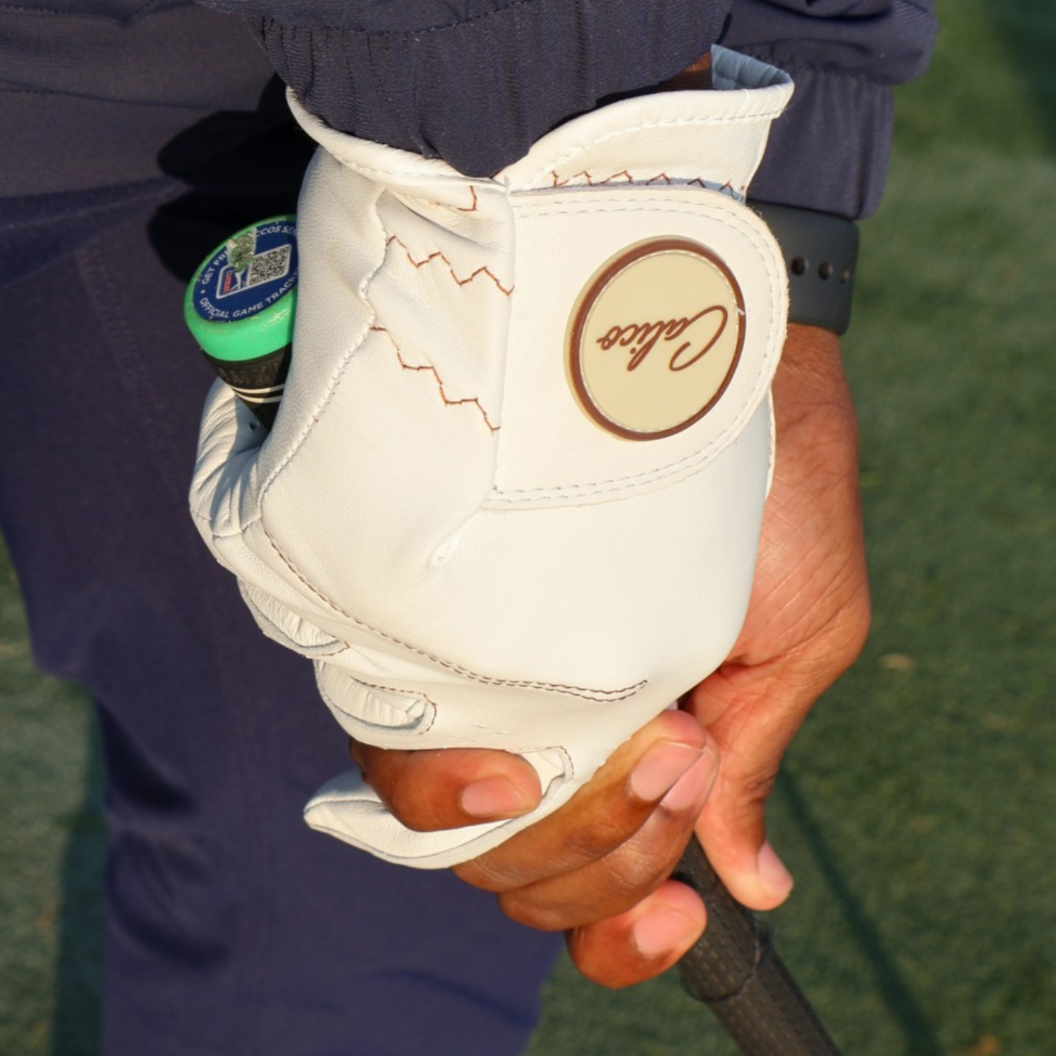 Calico Golf Glove